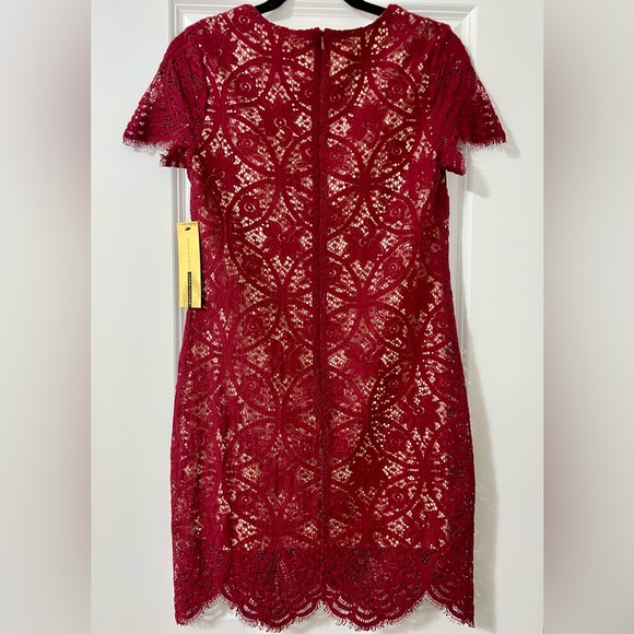 NWT Cynthia Steffe Lace Overlay Dress (0) - Picture 2 of 4